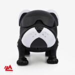 سگ پیت بول موزیکال - تصویر 10